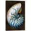 «Ocean Treasure IV», impression sur toile-73439670-73439671-73439672