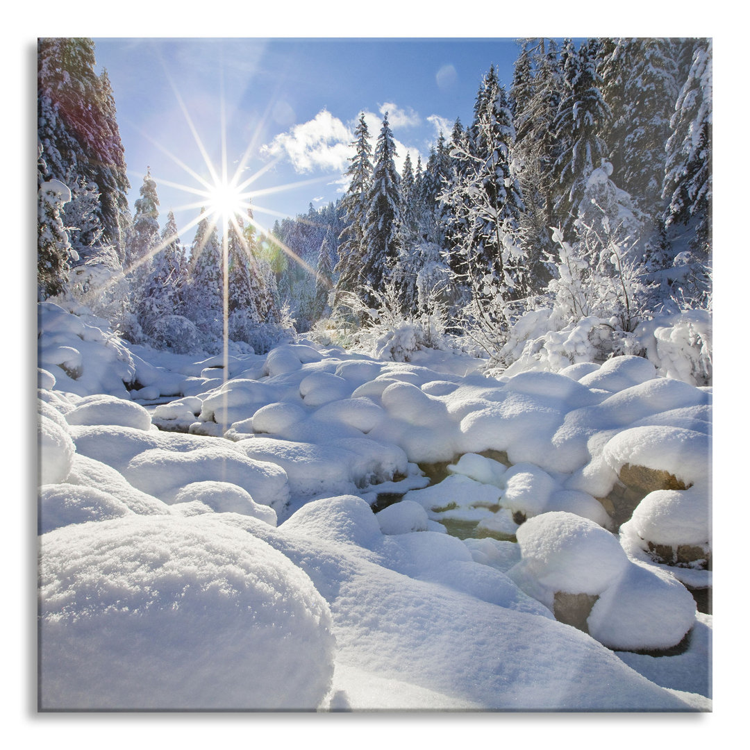 Glasbild Sonnenstrahlen im Wald