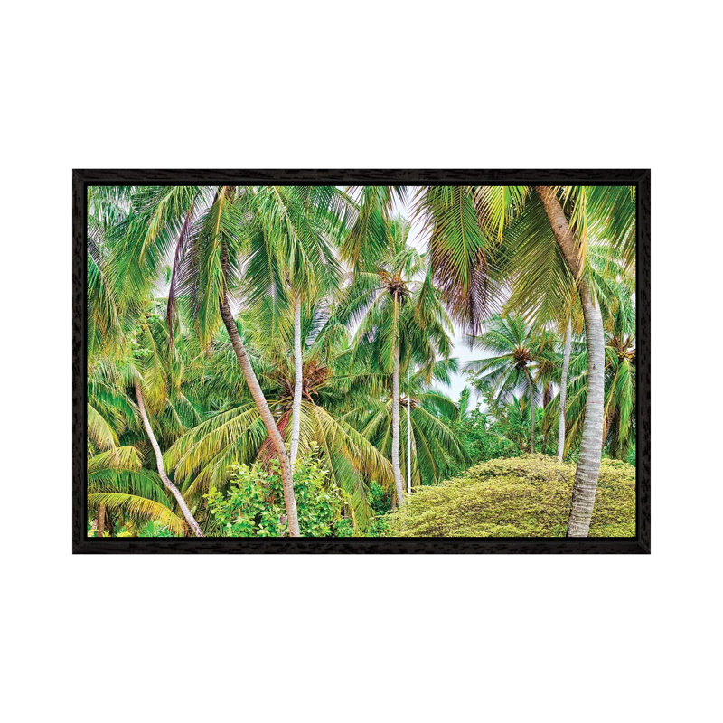 Palm Paradise by Mark Paulda - Print on Canvas, 45.72cm H x 66.04cm W x 3.81cm D, Black Floater Framed