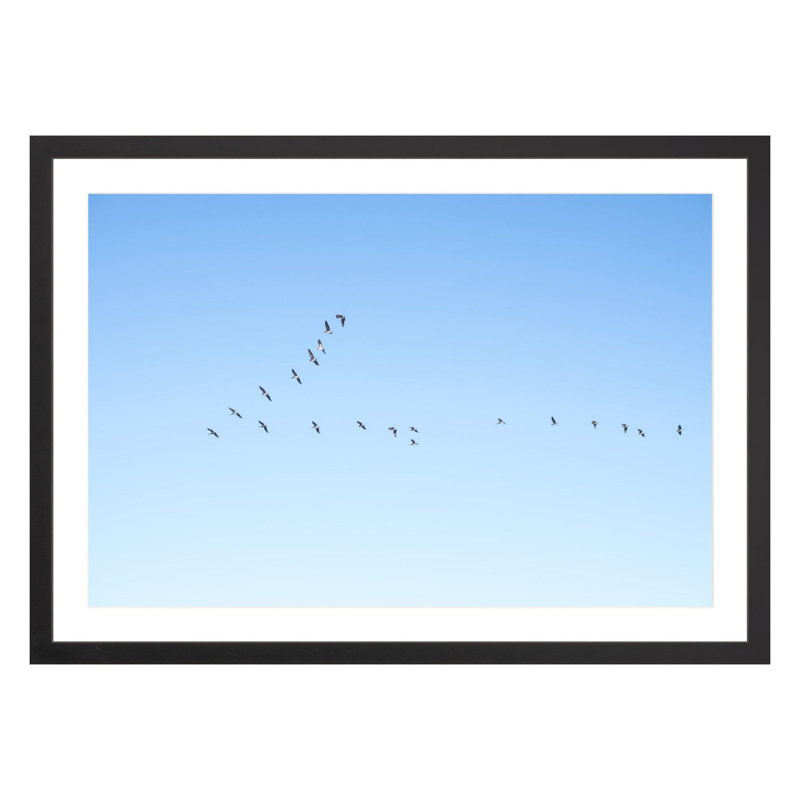 Flying V by Amanda Anderson, Black, 28" H x 42" W x 2.25" D