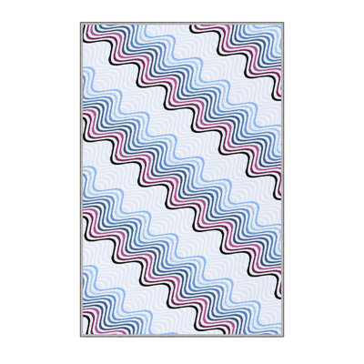 Tapis antibactérien pour hall d'entrée, impression numérique 3D, 3,3 x 4,9 pi | 100% polyester, hauteur des poils de 0,3 po, dessous antidérapant, lavable à la machine, durable et facile d'entretien | Parfait pour le salon, le vestibule et la décoration intérieure