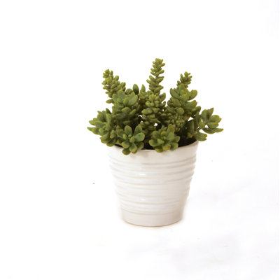 9'' Faux Succulent Plant in Ceramic Vase