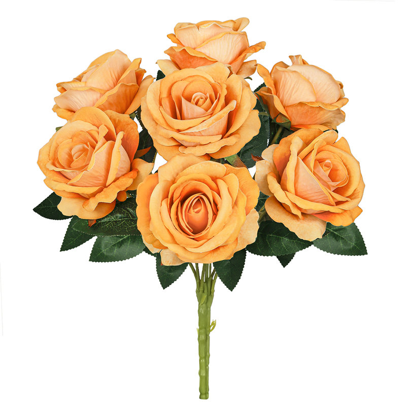 Velours rosier, Orange