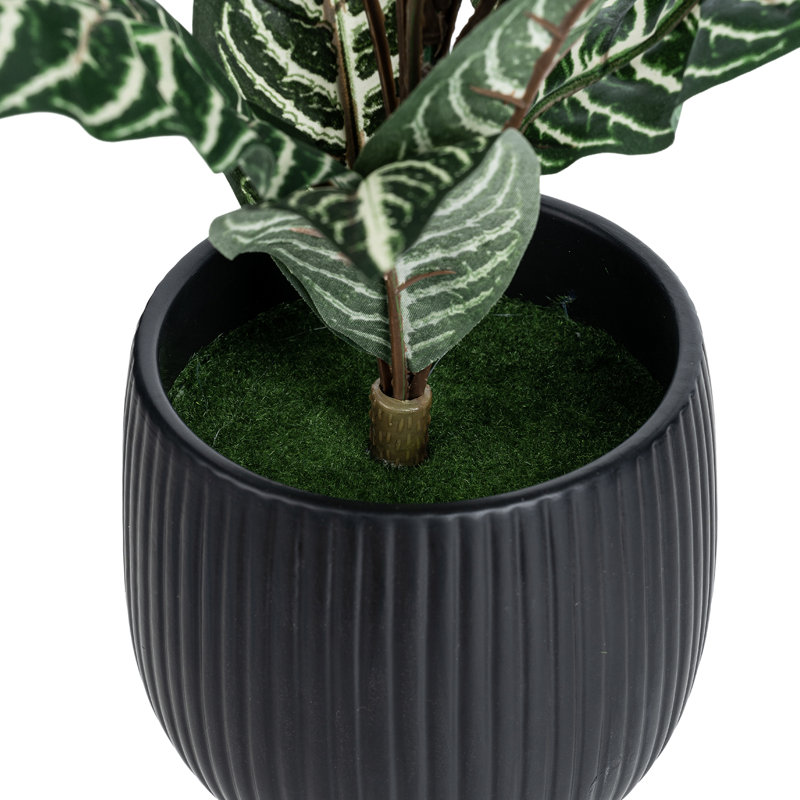 Artificial Plant