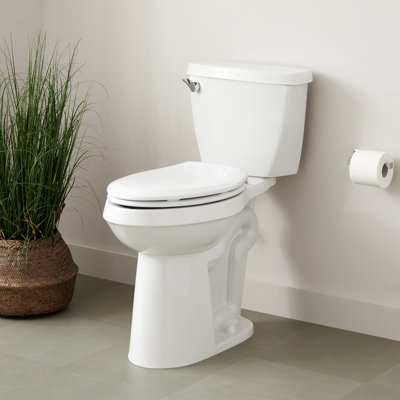 Bradenton Two-Piece Elongated Toilet with 14" Rough-In - 19" Bowl Height - Chrome Handle