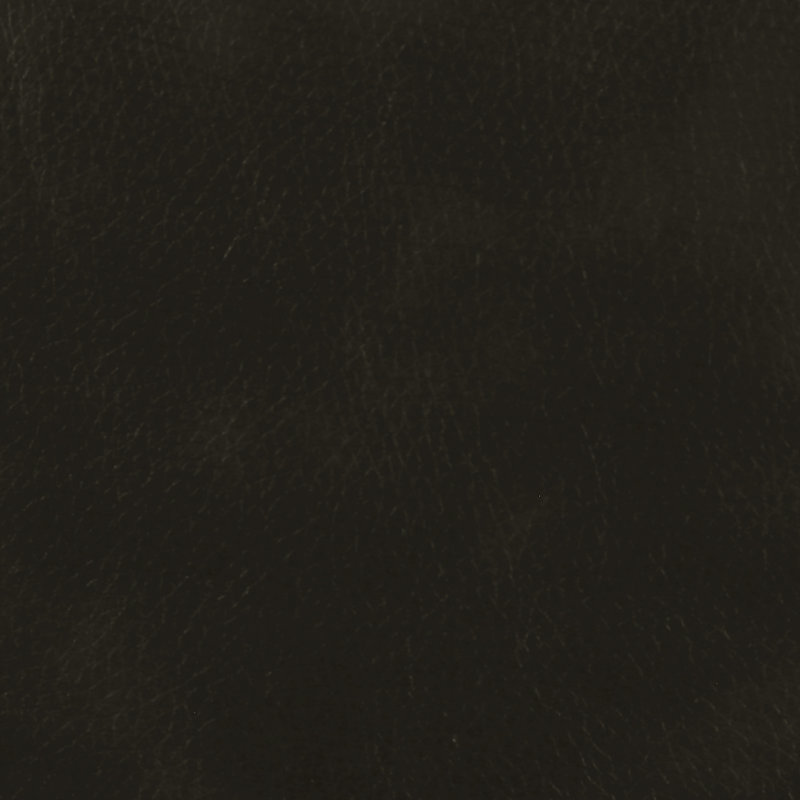 Zooey 78.5 " Faux Leather Sofa