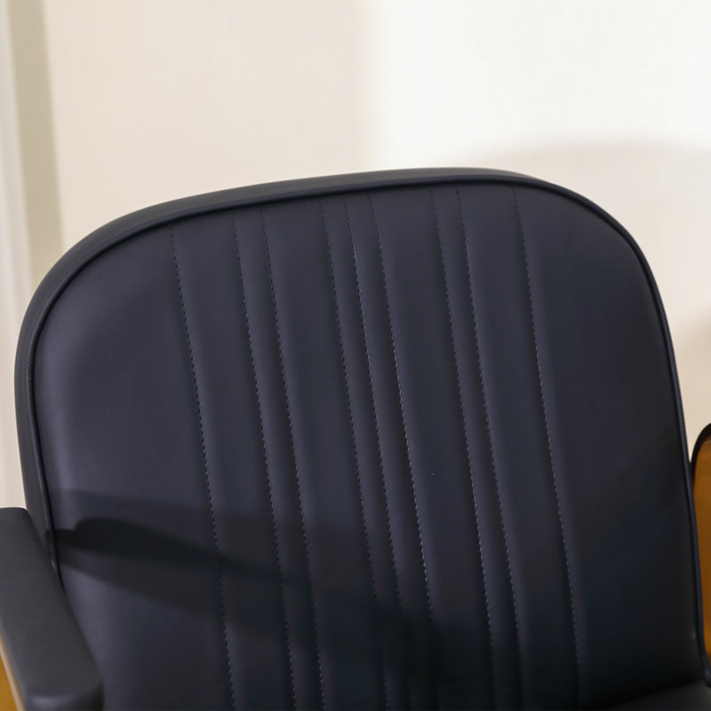 Fauteuil de coiffeur pour salon de beauté, Noir, noir, noir, noir