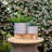 Baltz Ceramic Planter on Wooden Stand | Modern Stoneware Plant Pot with Decorative Base-1648373480-1698662692-1698662899