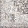 Hodder Oriental Indoor Rug