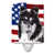 Black and White Collie