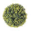 Faux Hedge-1702099625-1701990604