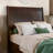 Avdesh Solid Wood Sleigh Trundle Extra Bed-1789888717-1789888716