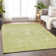 Segin Area Rug with Non-Slip Backing