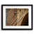 Black Framed Paper is unavailable