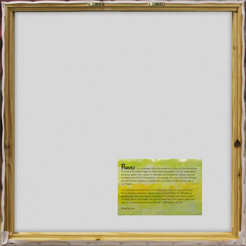 Parvez Taj - Wrapped Canvas Print, 61cm H x 61cm W x 3.8cm D