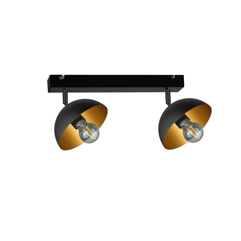 Avalyne Spotlight, Black/Gold