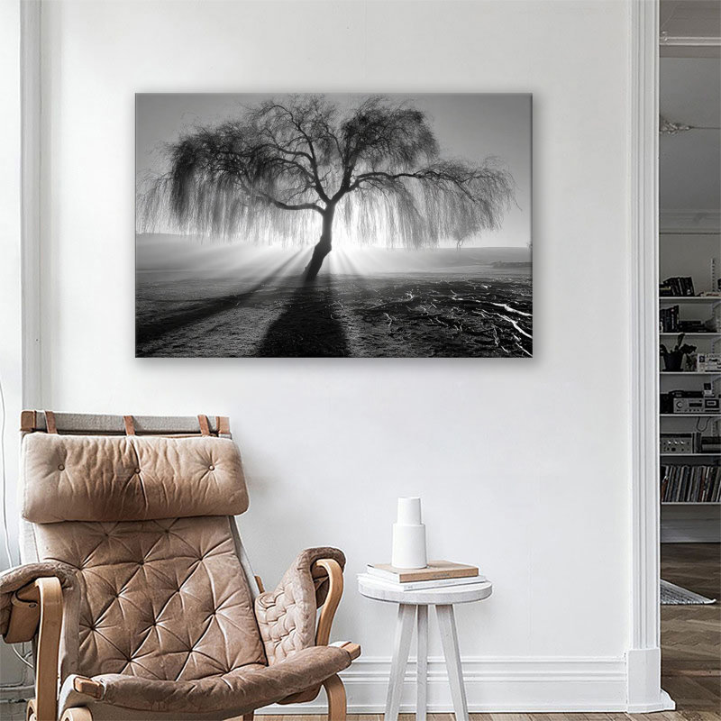 Arbre avec lumière douce et ombre, grande impression sur toile tendue avec châssis pour le salon et la chambre à coucher