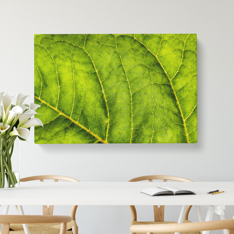 Leaf Veins - Wrapped Canvas, 35cm H x 50cm W x 3cm D