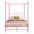 Pink est en rupture de stock
