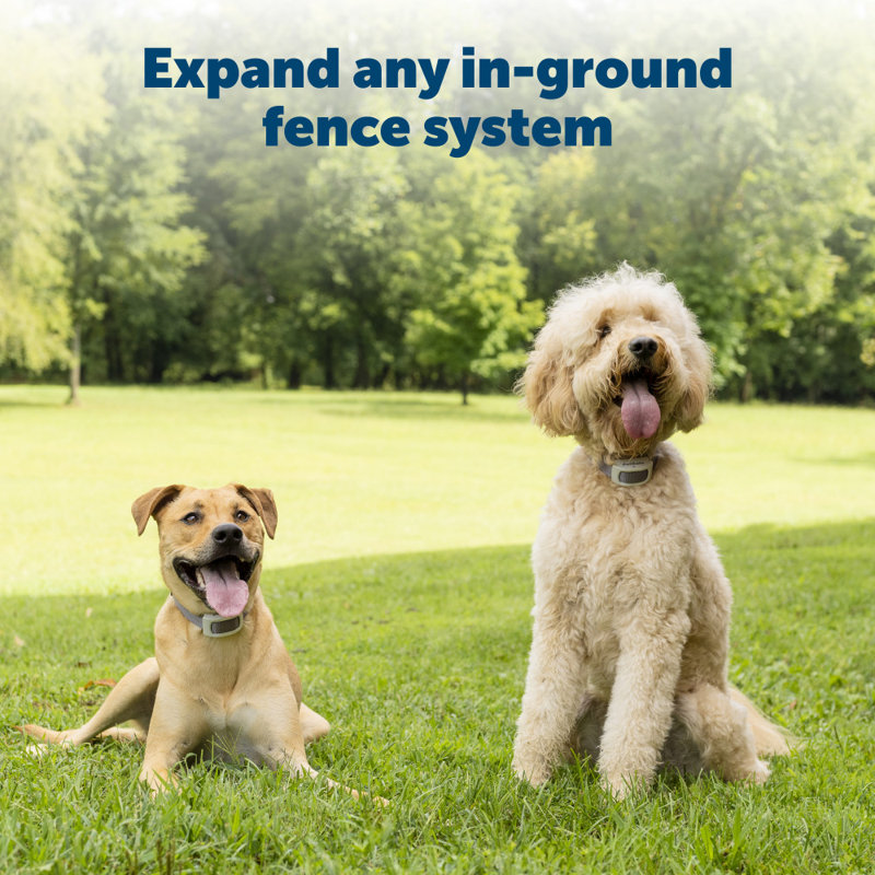 PetSafe® Extra In-Ground Fence Boundary Wire & Training Flags