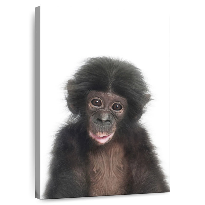 Bébé singe Brampt, H 48 po x l 32 po