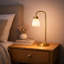 Alakai 41cm Table Lamp-106542929