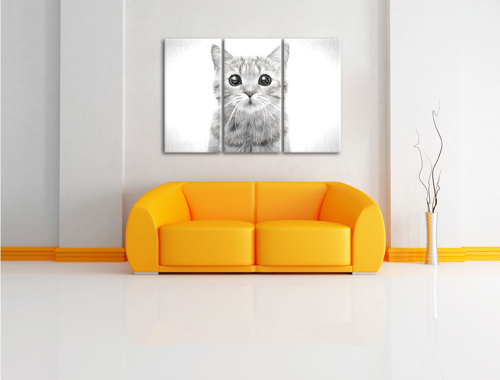 3-tlg. Leinwandbilder-Set „Portrait einer Scottish Straight Katze“, Grafikdruck