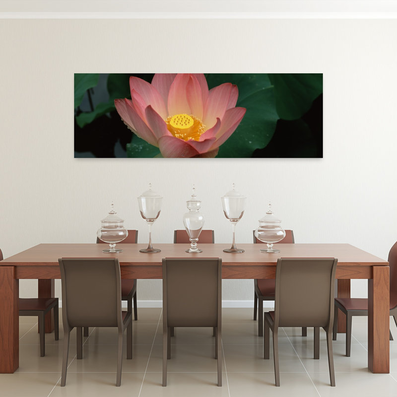 Lotus Blooming In A Pond by Terry Thompson - Wrapped Canvas Panoramic Print, 50.8 cm H x 152.4 cm W