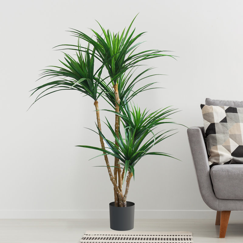 51" Tropical Yucca Artificial Tree with Natural Trunk and Planter by Pure Garden