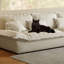 Coussin blanc modulaire 100% polyester-109305696-109305699