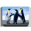 Modern picture- Wall Art-19091361