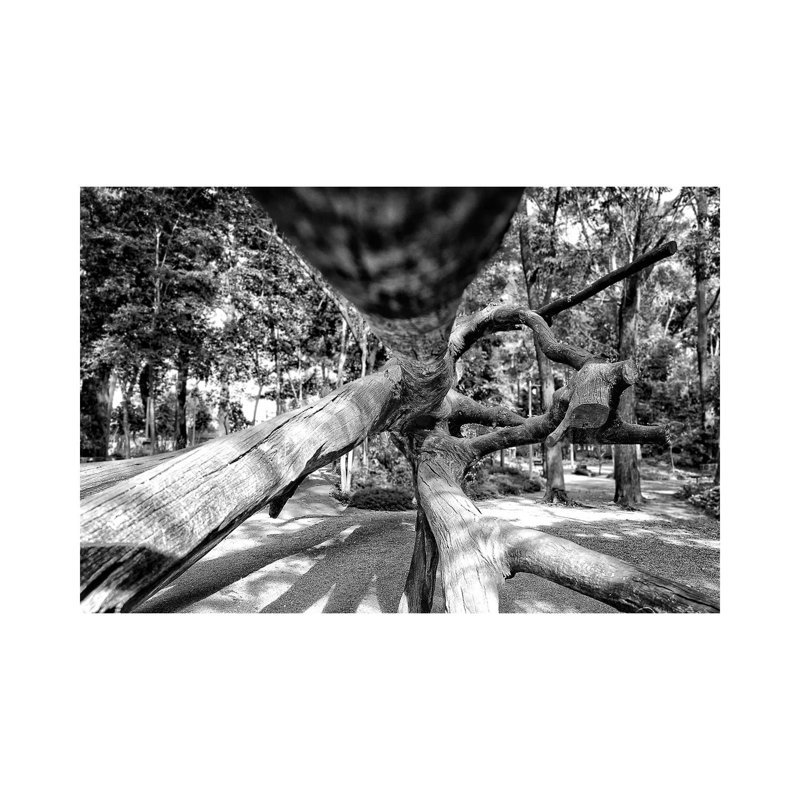 Streetphotography 11 - Wrapped Canvas Print, 66.04 cm H x 45.72 cm W
