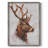 Stag Study II Framed Print - Solid Wood-1249675638