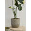Pot Verde 7 po x 6,5 po