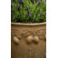 Zachariah Fiberglass Cachepot-14486336