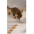 Set of 5 Wall Mount Cat Floating Platforms