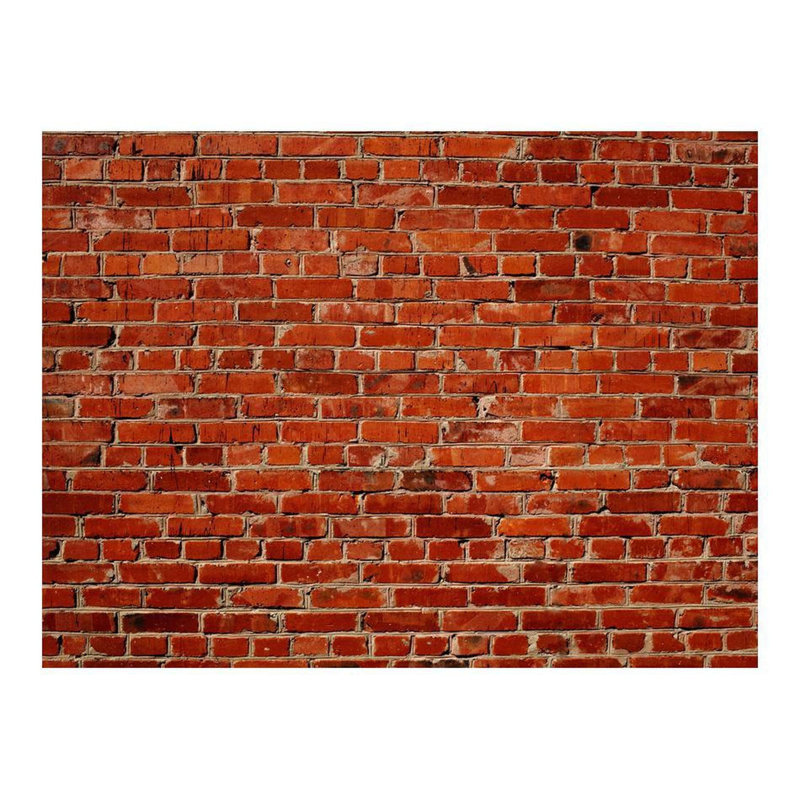 Murale brique Daryell, L 106 po x l 137 po