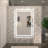 Chrisna LED Bathroom Mirror with Frontlit and Backlit, 3 Colors Temperature & Dimmable Light Anti-fog Tempered Glass Bathroom Vanity Mirror-1660412599-1644397550