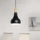 Ginger Single Light Steel Dimmable Pendant