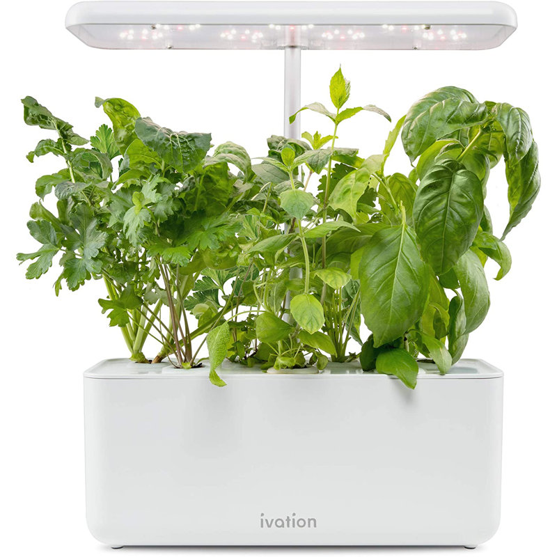 Unité hydroponique Herb Garden