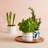 Lenox Blue Bay Snack Bowls, Set Of 3, With Wood Tray