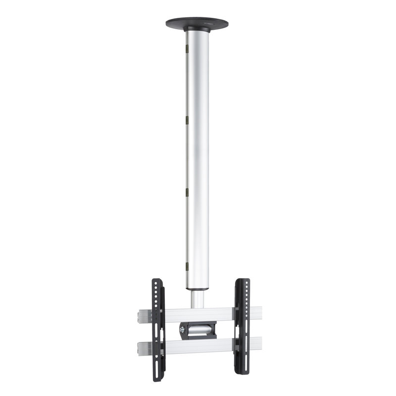 Symple Stuff Single Screen Ceiling Mount
