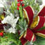 Festive holiday arrangement with greens and Berries