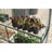 Miracle-Gro Mini Greenhouse -124746737
