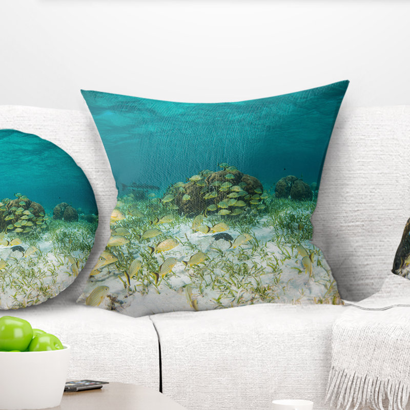 Ã‰cole des Grunts avec Baracuda - Oreiller imprimÃ© Sea & Shore, 18 po x 18 po, Coussin décoratif