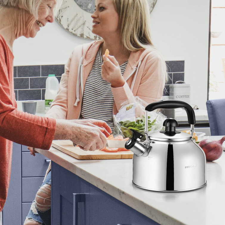 The best stovetop kettles: 8 top buys suitable for gas, electric, and induction  cooktops