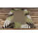 Springcreek Indoor / Outdoor Rug