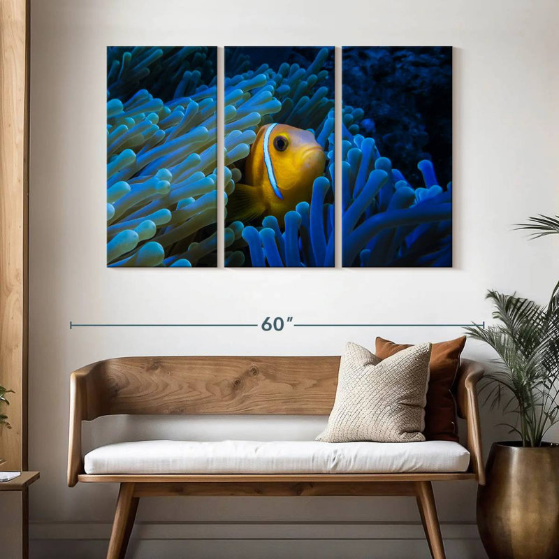 Brampt Lurking Clownfish, 32" H x 50" W