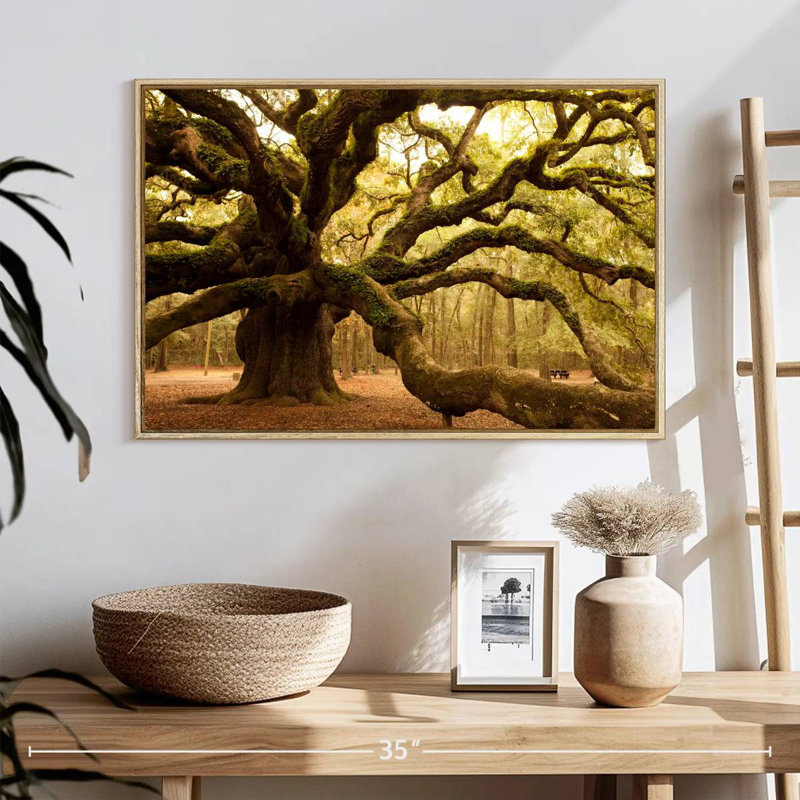 Chêne antique moussu, 25 po x 17 po, Cadre flottant en bois naturel