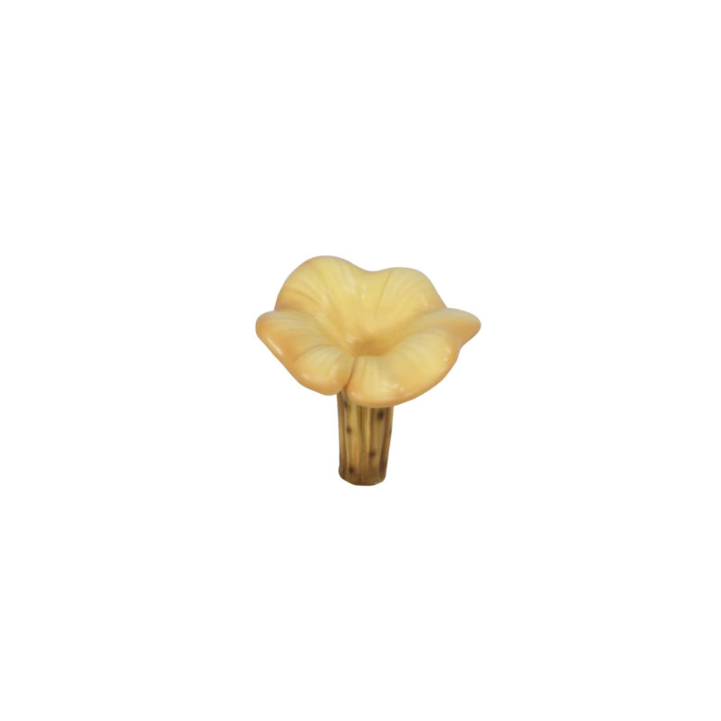 Chanterelle Balan surdimensionné